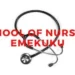 COLLEGE OF NURSING SCIENCES, EMEKUKU RELEASES ADMISSION FORM FOR 2023/2024 ACADEMIC SESSION