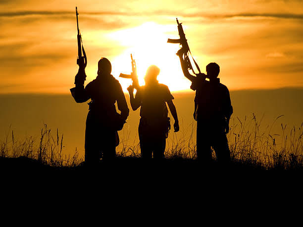 TERRORISTS RELEASE FOUR NIGERIAN GOVERNMENT COLLEGE, FGC YAURI GIRLS ABDUCTED FOR TWO YEARS