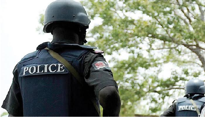 NIGERIAN POLICEMEN DETAINED, FACE TRIAL FOR BRUTALISING IMO STATE STUDENTS IN VIRAL VIDEO