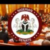 SENATE ORDERS UNILORIN, FUTA, UNIABUJA TO REFUND N4.7bn OVER FRAUD