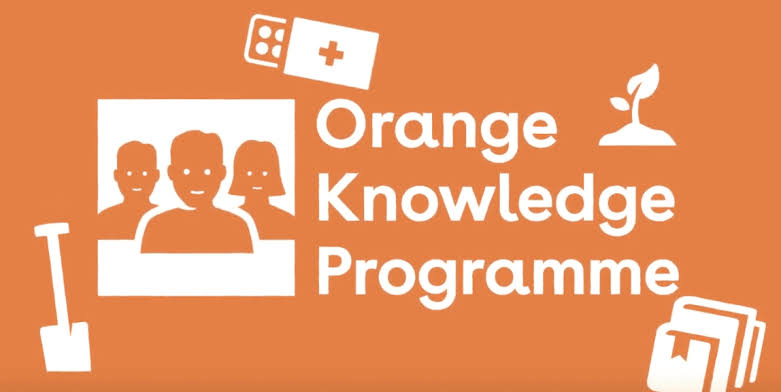 STUDY IN NETHERLANDS 2023 ORANGE KNOWLEDGE PROGRAMME (OKP) FOR INTERNATIONAL STUDENTS