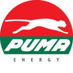 PUMA ENERGY GRADUATE PROGRAM 2025 FOR AFRICANS