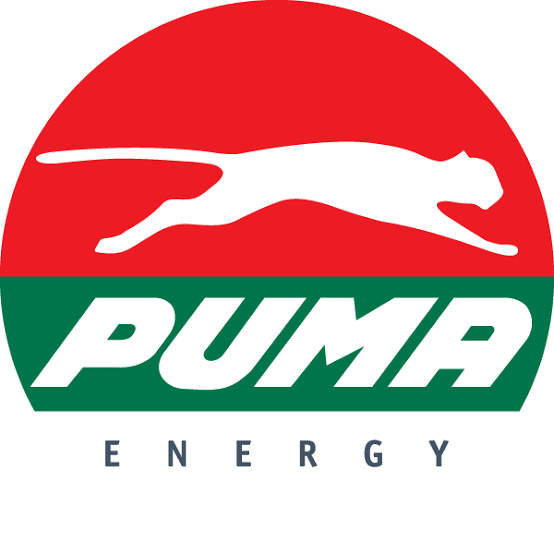 PUMA ENERGY GRADUATE PROGRAM 2025 FOR AFRICANS