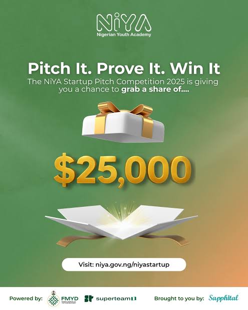 FEDERAL GOVERNMENT NIYA STARTUP PITCH FOR NIGERIANS