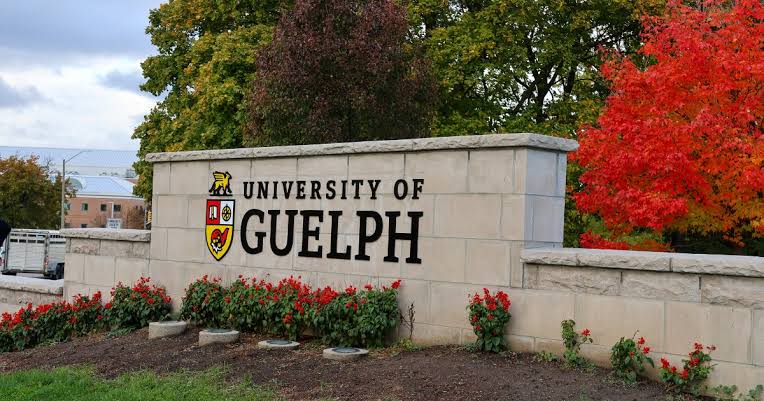 UNIVERSITY OF GUELPH SCHOLARSHIP IN CANADA 2025