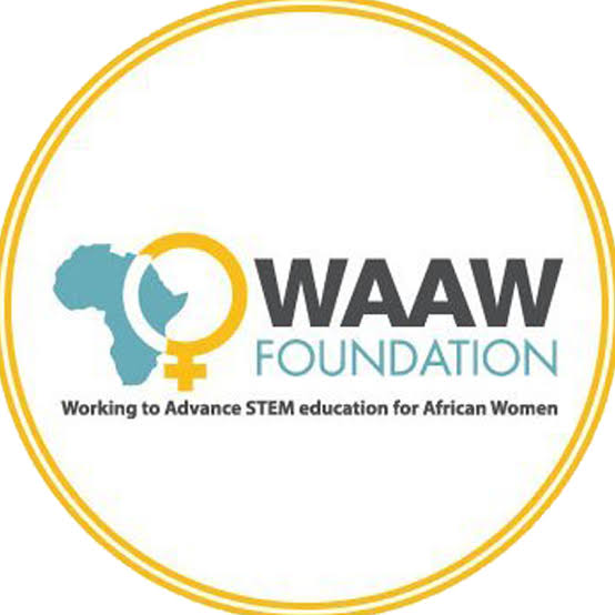 WAAW FOUNDATION SCHOLARSHIP FOR AFRICAN UNDERGRADUATES 2025