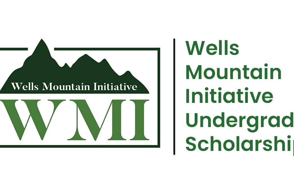 US WELLS MOUNTAIN INITIATIVE SCHOLARSHIP(WMI) FOR DEVELOPING COUNTRIES 2026