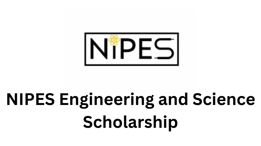 NIPES COMFORT ARCHITECTURAL SCHOLARSHIP FOR UNDERGRADUATES