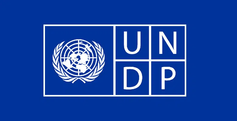 UNDP REMOTE INTERNSHIP IN DIGITAL,AI AND INNOVATION 2026